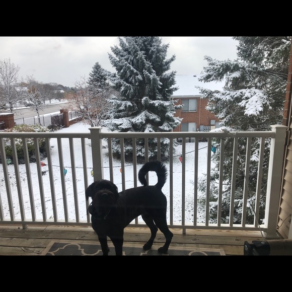 Meet your Posher, Brian - Picture 1 of 1